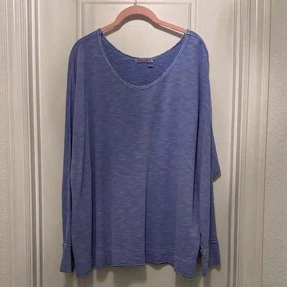 Fresh Produce Light Blue Long Sleeve Top Oversized Large - Picture 1 of 4